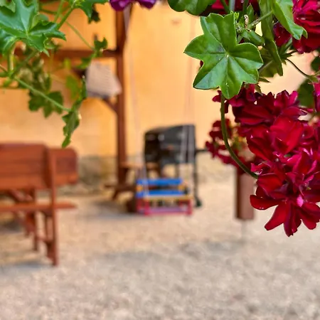 Knizkovi * Slavonice